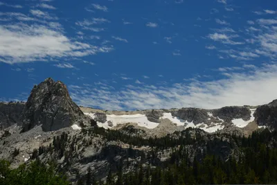 DSC_9991 (Large).JPG